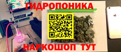 крисы Гусь-Хрустальный