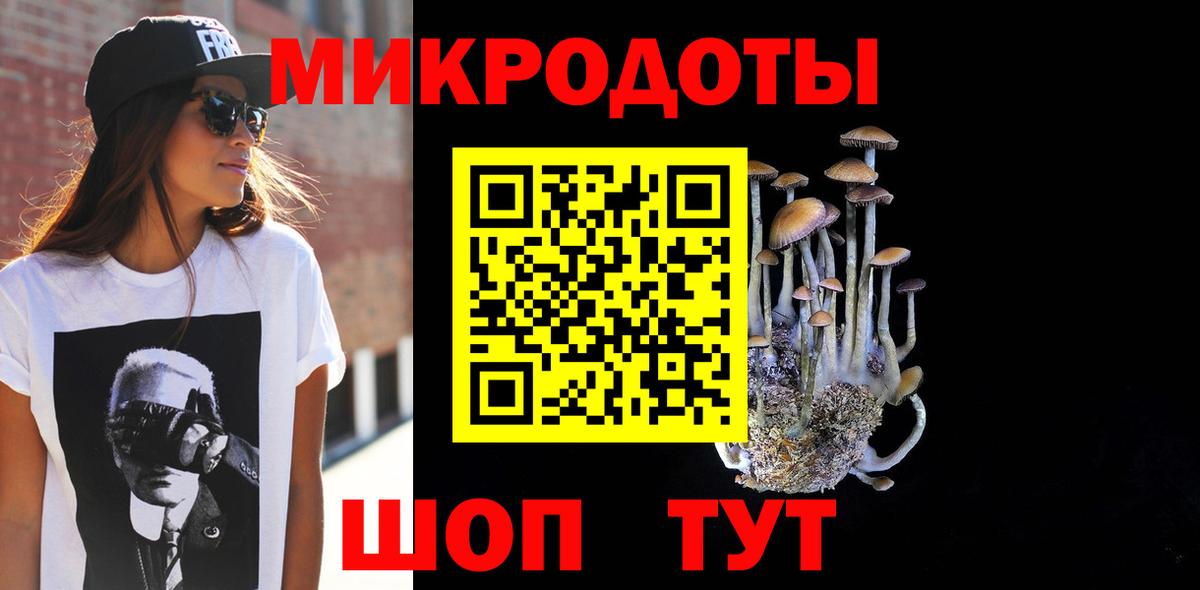 Стрежевой  Галлюциногенные грибы Psilocybine cubensis  Псилоцибиновые грибы Cubensis  Вход с VPN 