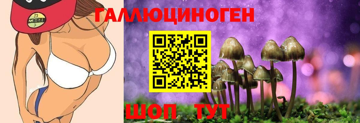 Галлюциногенные грибы мицелий Стрежевой